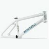 CADRE BMX DOOMSAYER 2022 WETHEPEOPLE MATT WHITE